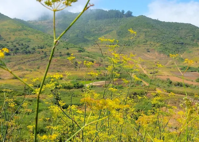 Hotel Rural La Hacienda 4*